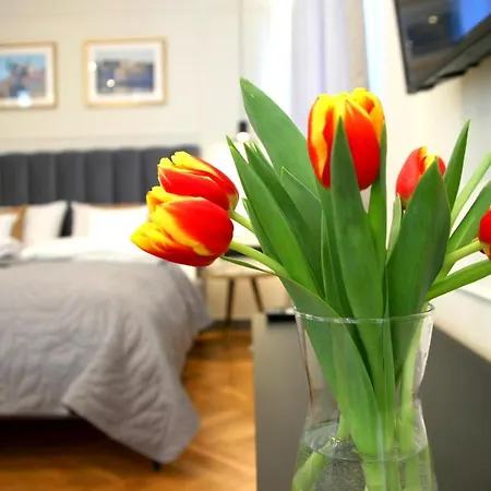 Apartament Falcon Center 1 Centralna